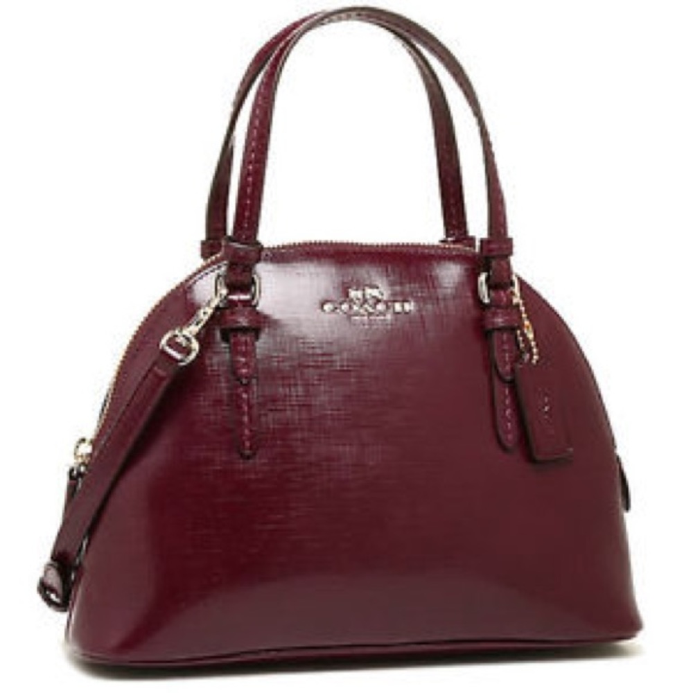 Coach Peyton Leather Mini Domed Satchel